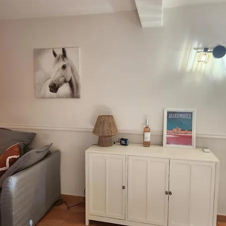 Maisonnette Confort Dans Mas Camarguais *