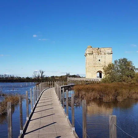 Maisonnette Confort Dans Mas Camarguais Feriehus Saint-Laurent-dʼAigouze